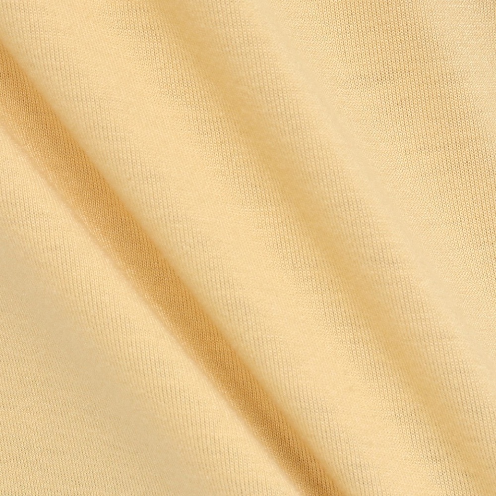 コロンビア（Columbia）（メンズ）半袖Tシャツ CEDER TRAIL グラフィック AE5759 715 イエロー