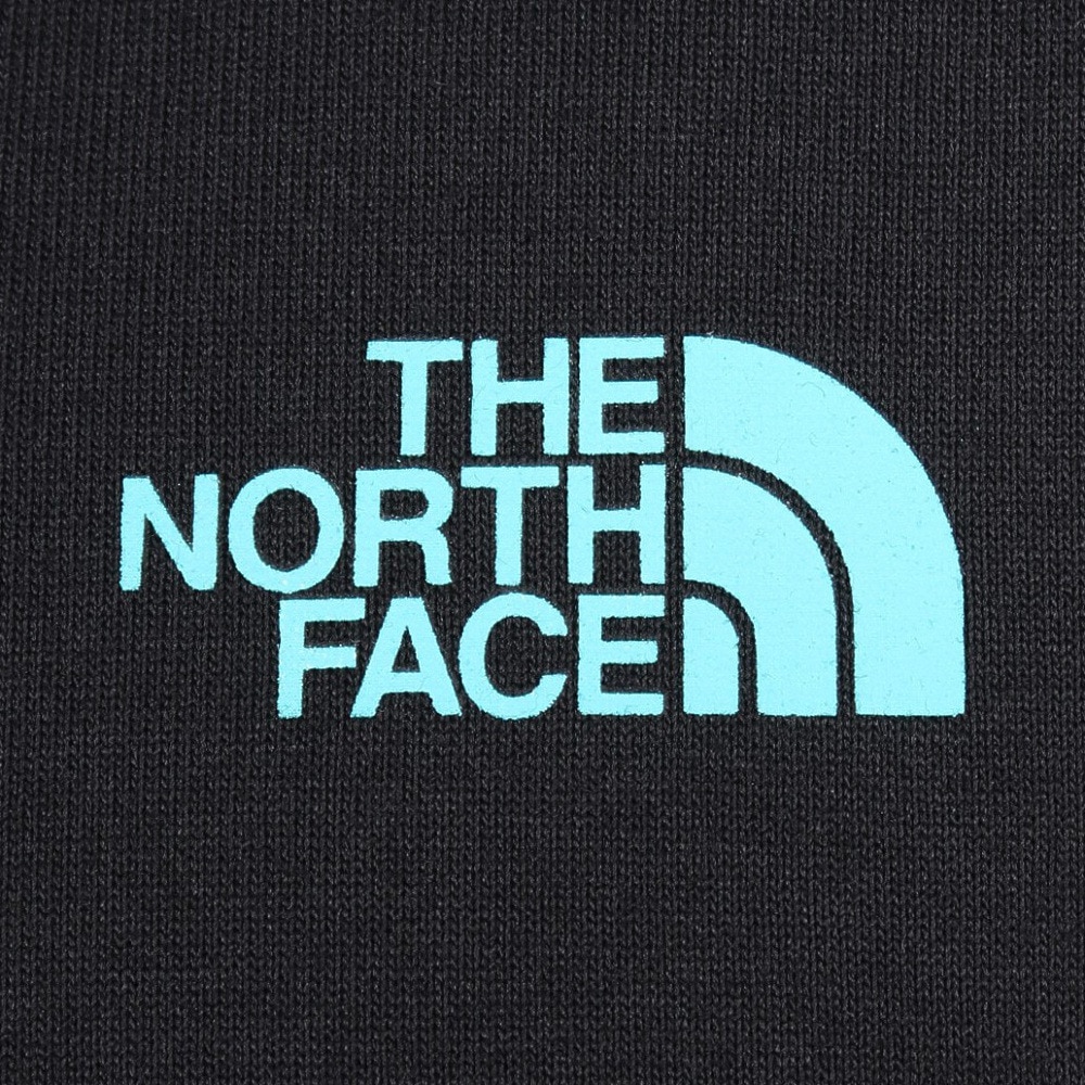 ザ・ノース・フェイス（THE NORTH FACE）（メンズ、レディース）半袖Tシャツ ショートスリーブフラッシュドライカクタスロゴティー NT32545 K ブラック