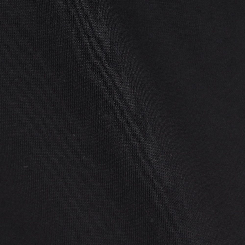 ザ・ノース・フェイス（THE NORTH FACE）（メンズ、レディース）半袖Tシャツ ショートスリーブフラッシュドライカラースキームコットンティー NT32548 K ブラック
