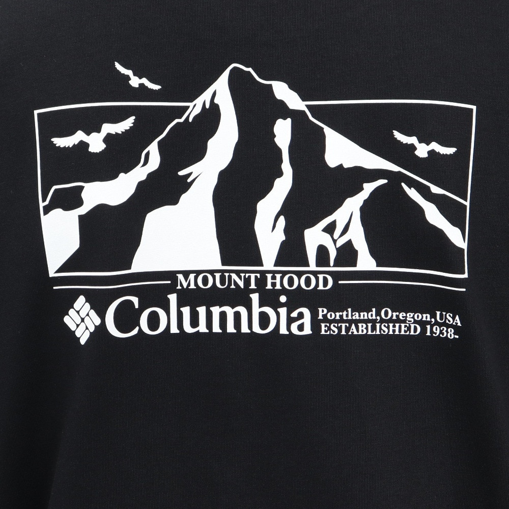 コロンビア（Columbia）（メンズ、レディース）ロマビスタグラフィック 半袖Tシャツ PM0960 010