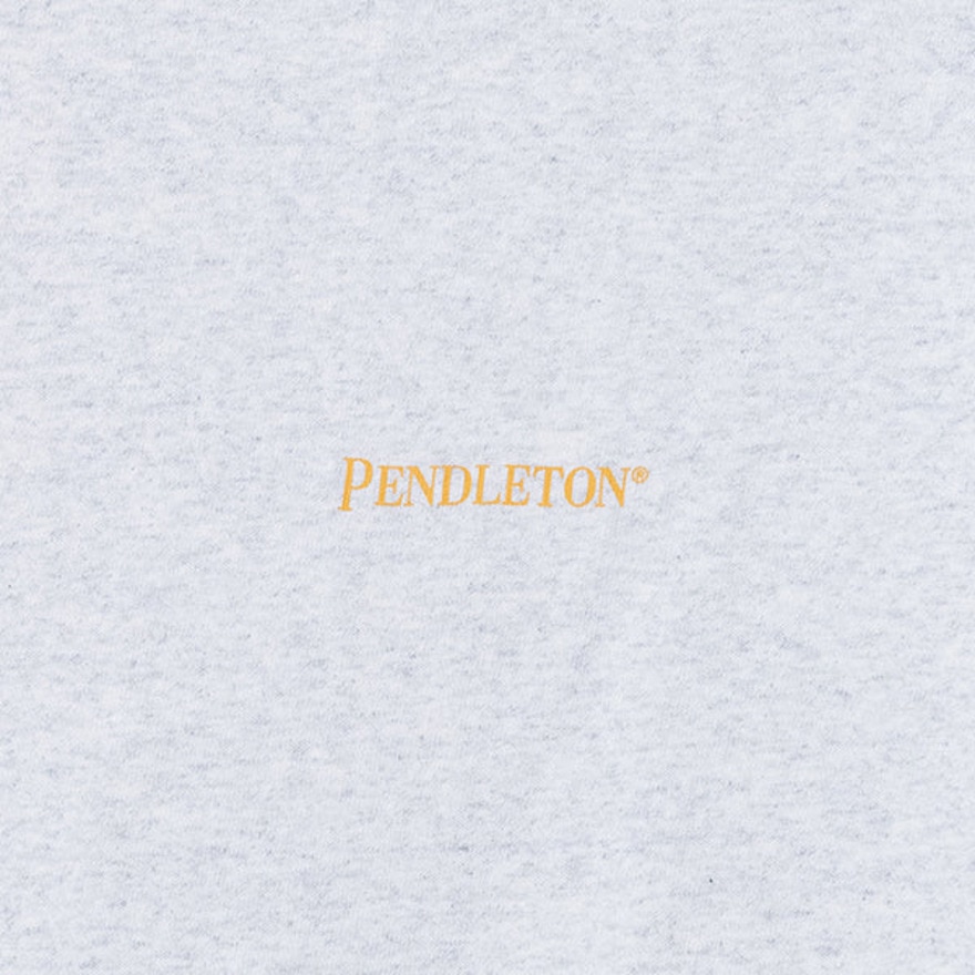 ペンドルトン（PENDLETON）（メンズ）半袖Tシャツ ショートスリーブ バックプリント 19802721 Birch