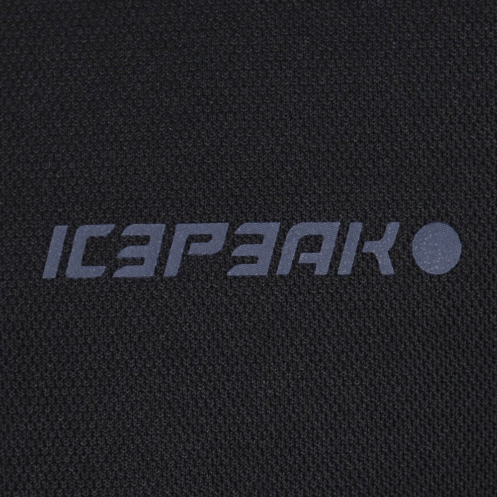 アイスピーク（icepeak）（メンズ）半袖Tシャツ ODESSA 56244 690 990