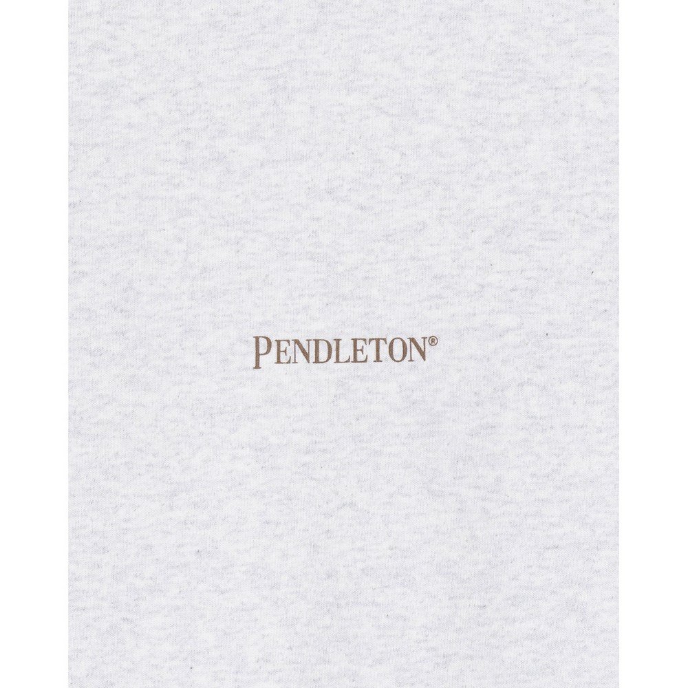 ペンドルトン（PENDLETON）（メンズ）半袖 14オープンエンド ジャージ メンズ バックプリントTシャツ 19802183Birch