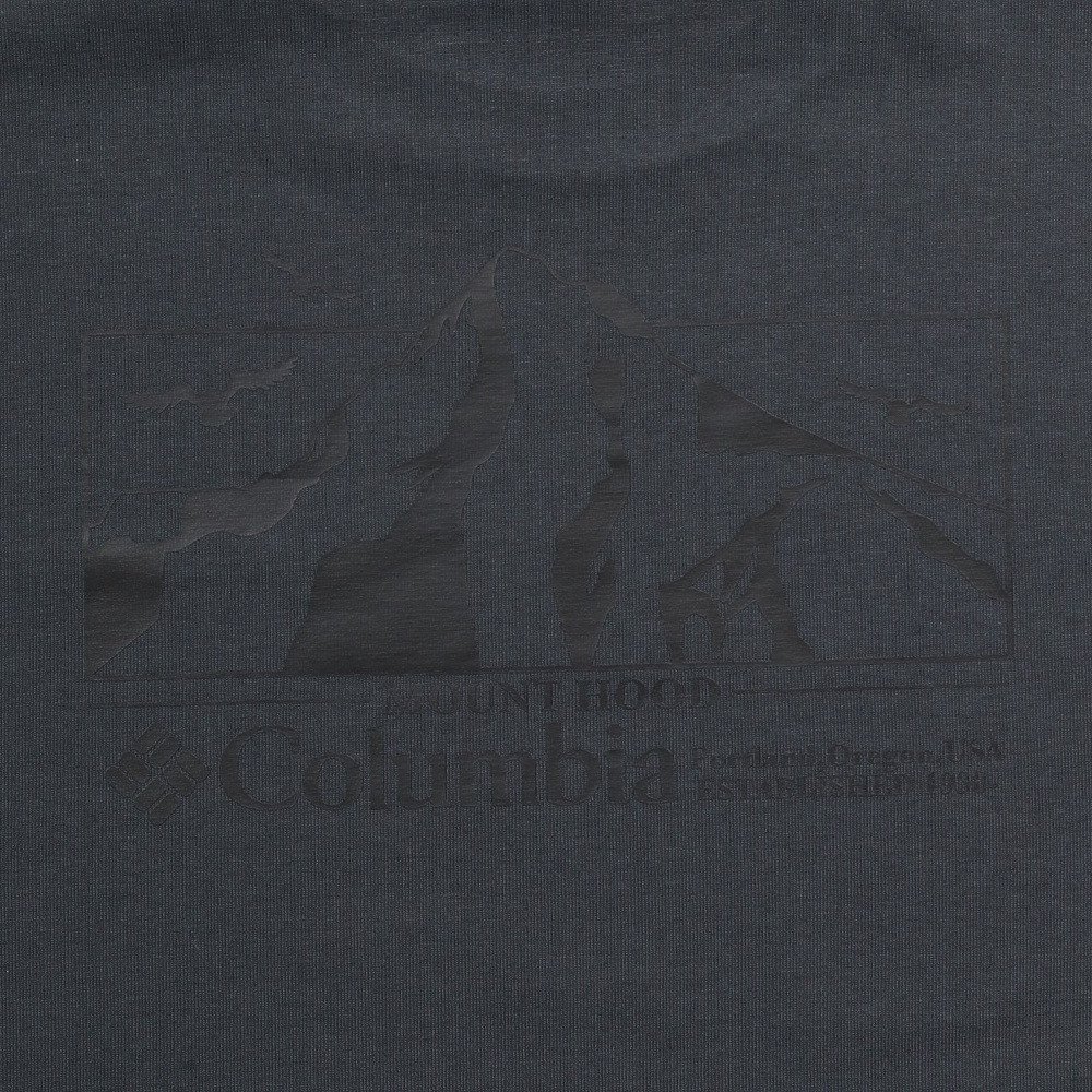 コロンビア（Columbia）（メンズ）半袖Tシャツ ロマビスタグラフィック ショートスリーブTシャツ PM0960 048