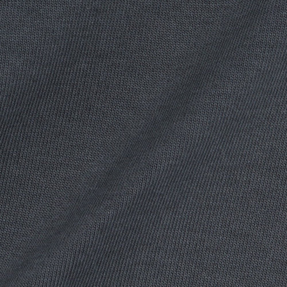 コロンビア（Columbia）（メンズ）半袖Tシャツ ロマビスタグラフィック ショートスリーブTシャツ PM0960 048