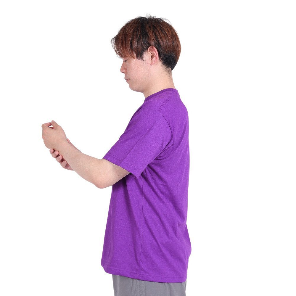 Tシャツ 半袖 ショートスリーブ スモールボックス ロゴTシャツ NT32445 TP 3