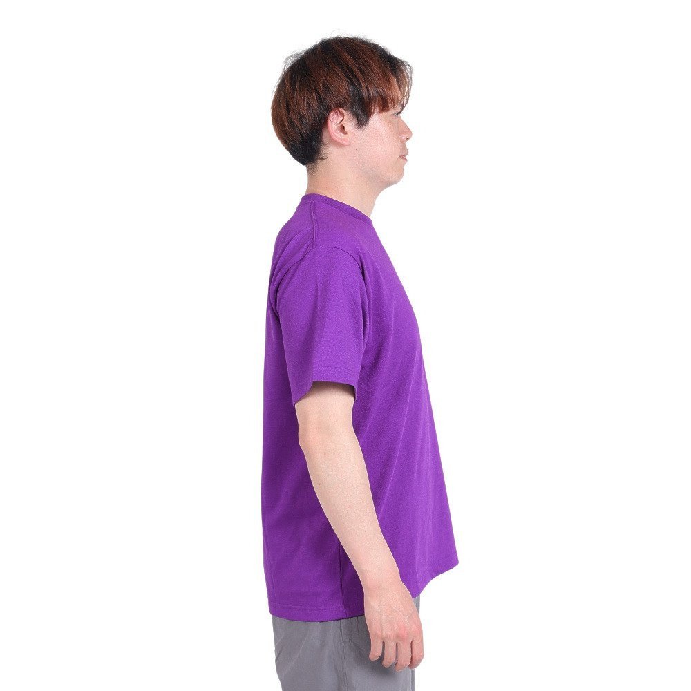 Tシャツ 半袖 ショートスリーブ スモールボックス ロゴTシャツ NT32445 TP 5