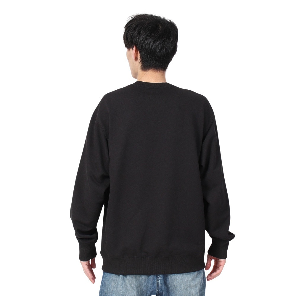 ザ・ノース・フェイス（THE NORTH FACE）（メンズ、レディース）トレーナー スウェット ヘザーロゴクルー NT12334 K ブラック 