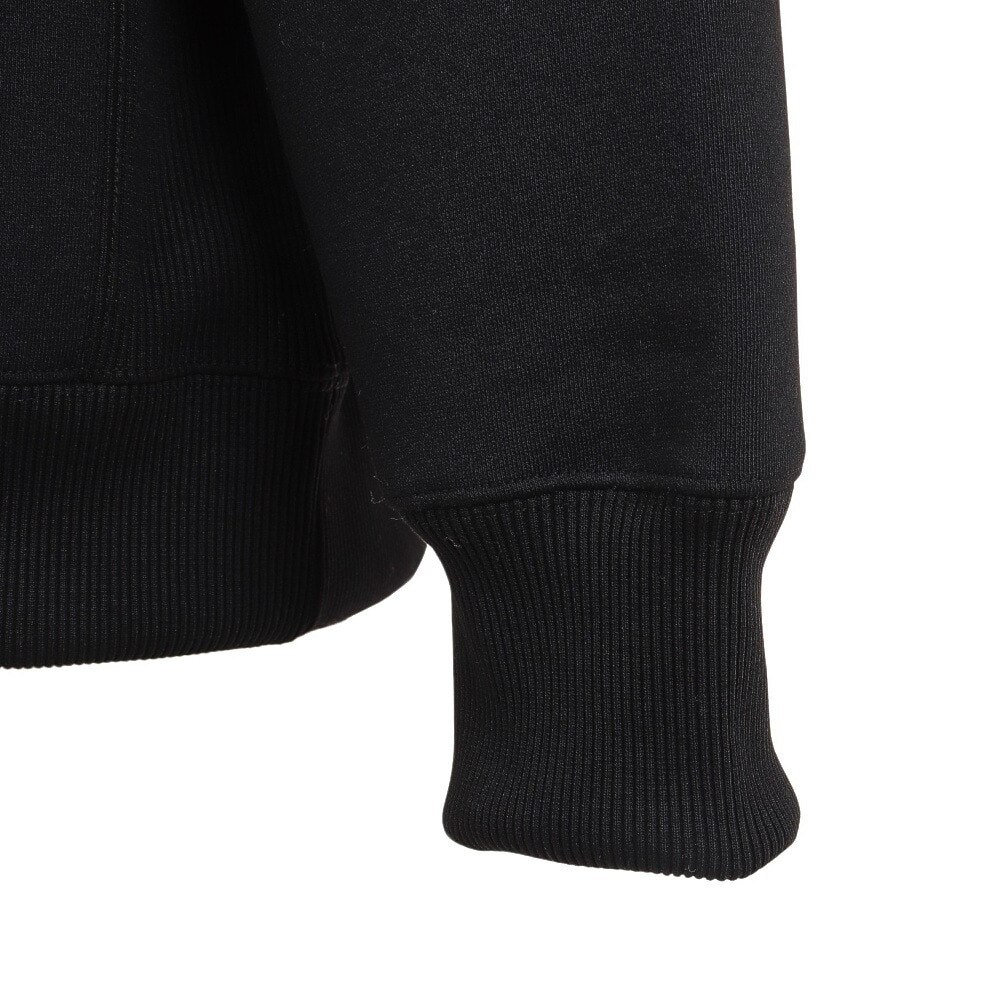 ザ・ノース・フェイス（THE NORTH FACE）（メンズ）パーカー スウェット 30th ヌプシスウェットフーディ NT62234 K ブラック