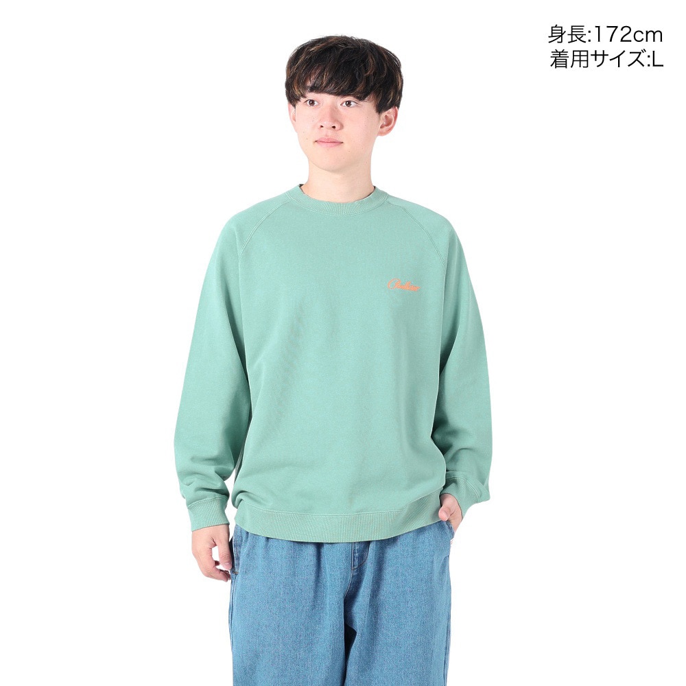 ペンドルトン（PENDLETON）（メンズ、レディース）トレーナー バックプリントスウェット 19807225 Mint
