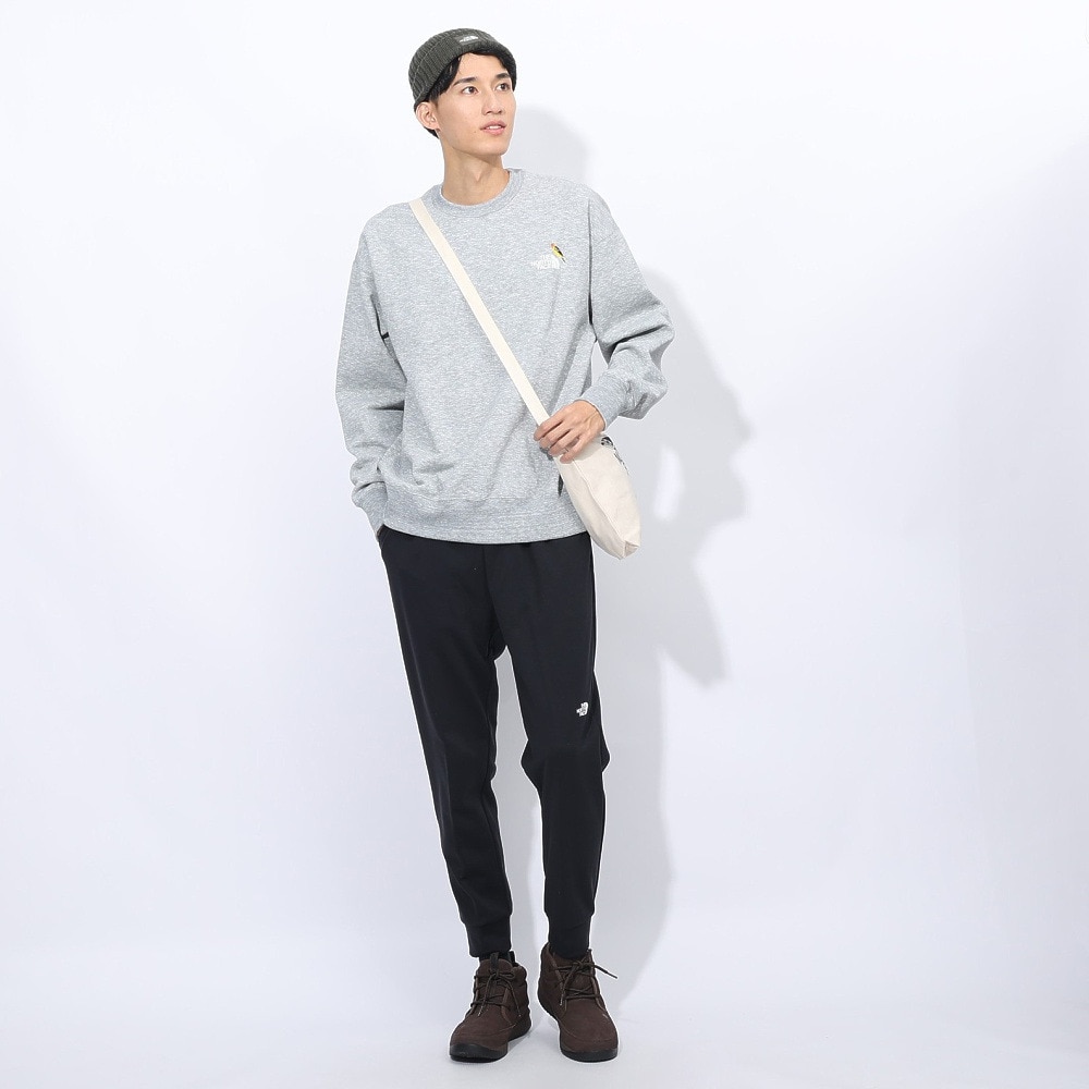 ザ・ノース・フェイス（THE NORTH FACE）（メンズ、レディース）トレーナー スウェット ズー ピッカー クルーネック NT62434 Z