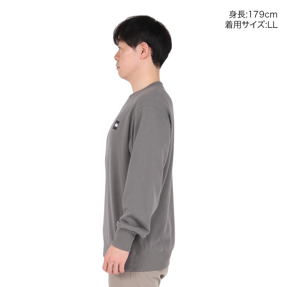 ザ・ノース・フェイス（THE NORTH FACE）（メンズ、レディース）トレーナー スウェット ヘザーロゴ クルーネック NT12334 SP