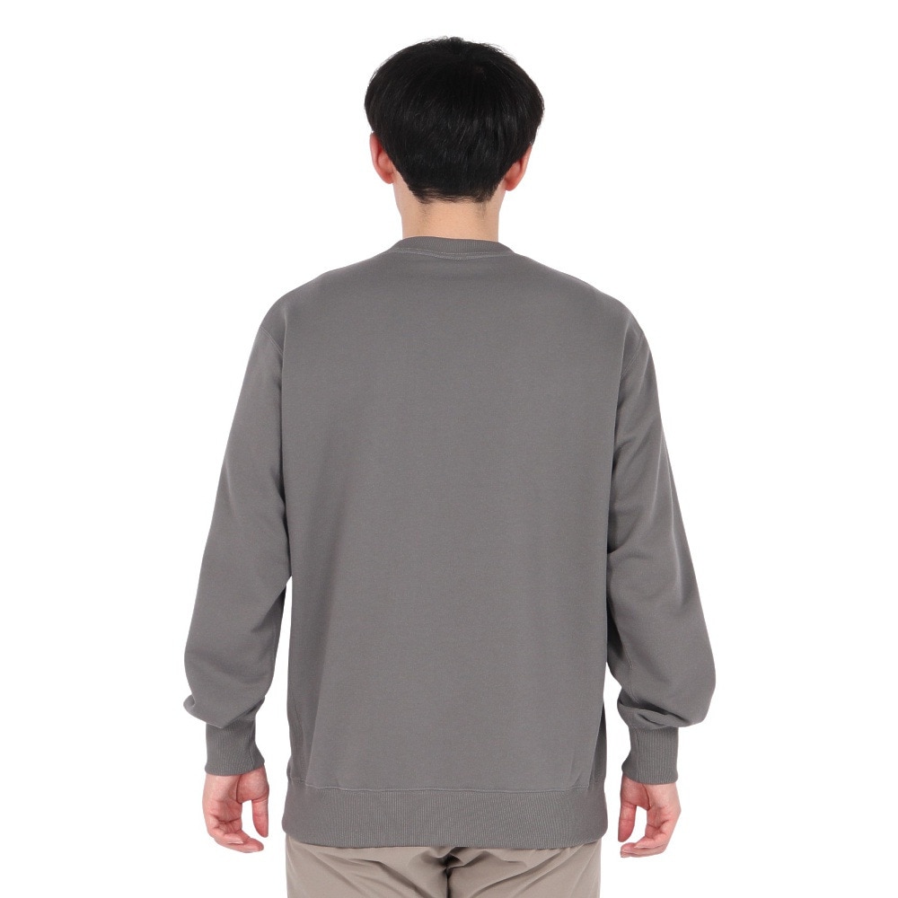 ザ・ノース・フェイス（THE NORTH FACE）（メンズ、レディース）トレーナー スウェット ヘザーロゴ クルーネック NT12334 SP