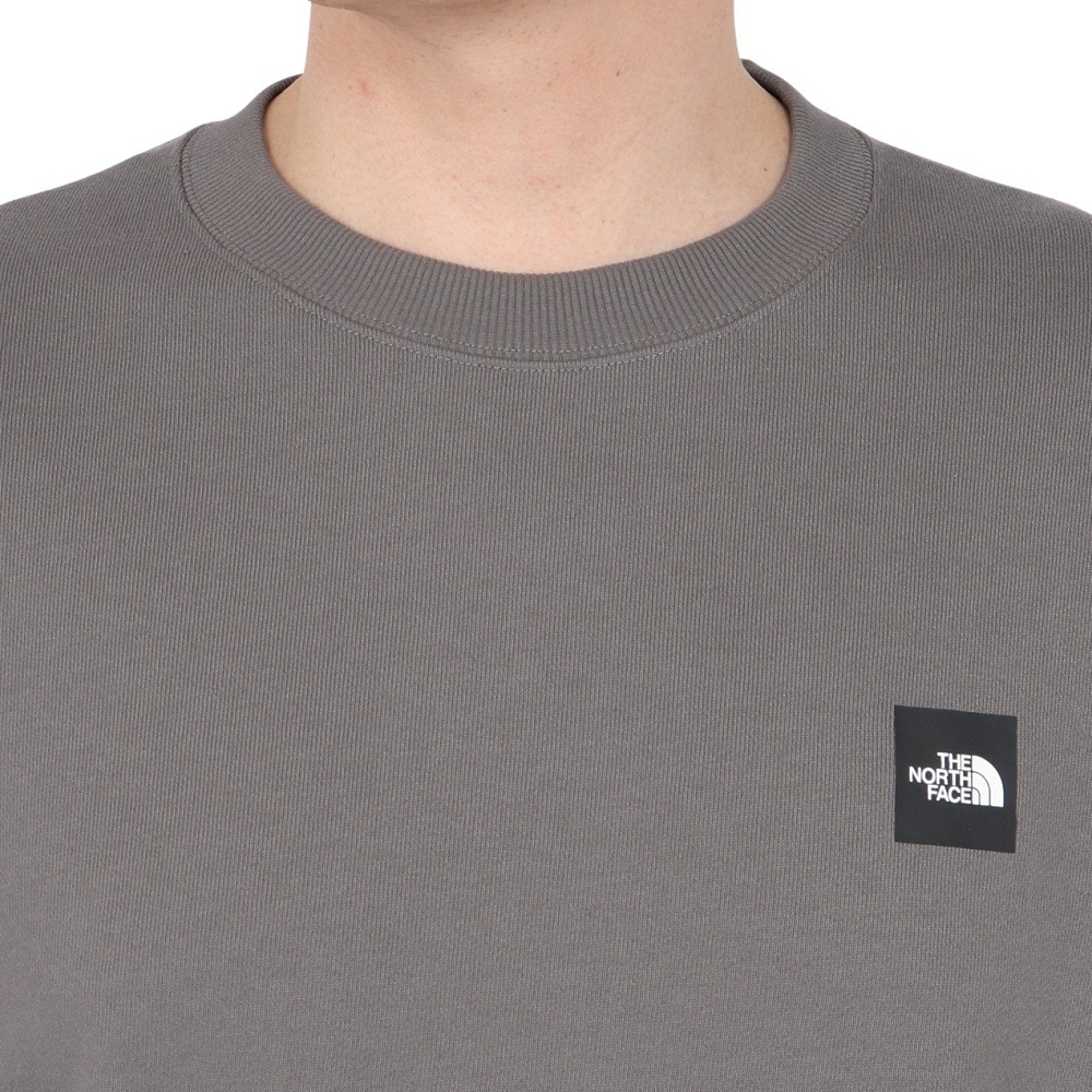 ザ・ノース・フェイス（THE NORTH FACE）（メンズ、レディース）トレーナー スウェット ヘザーロゴ クルーネック NT12334 SP
