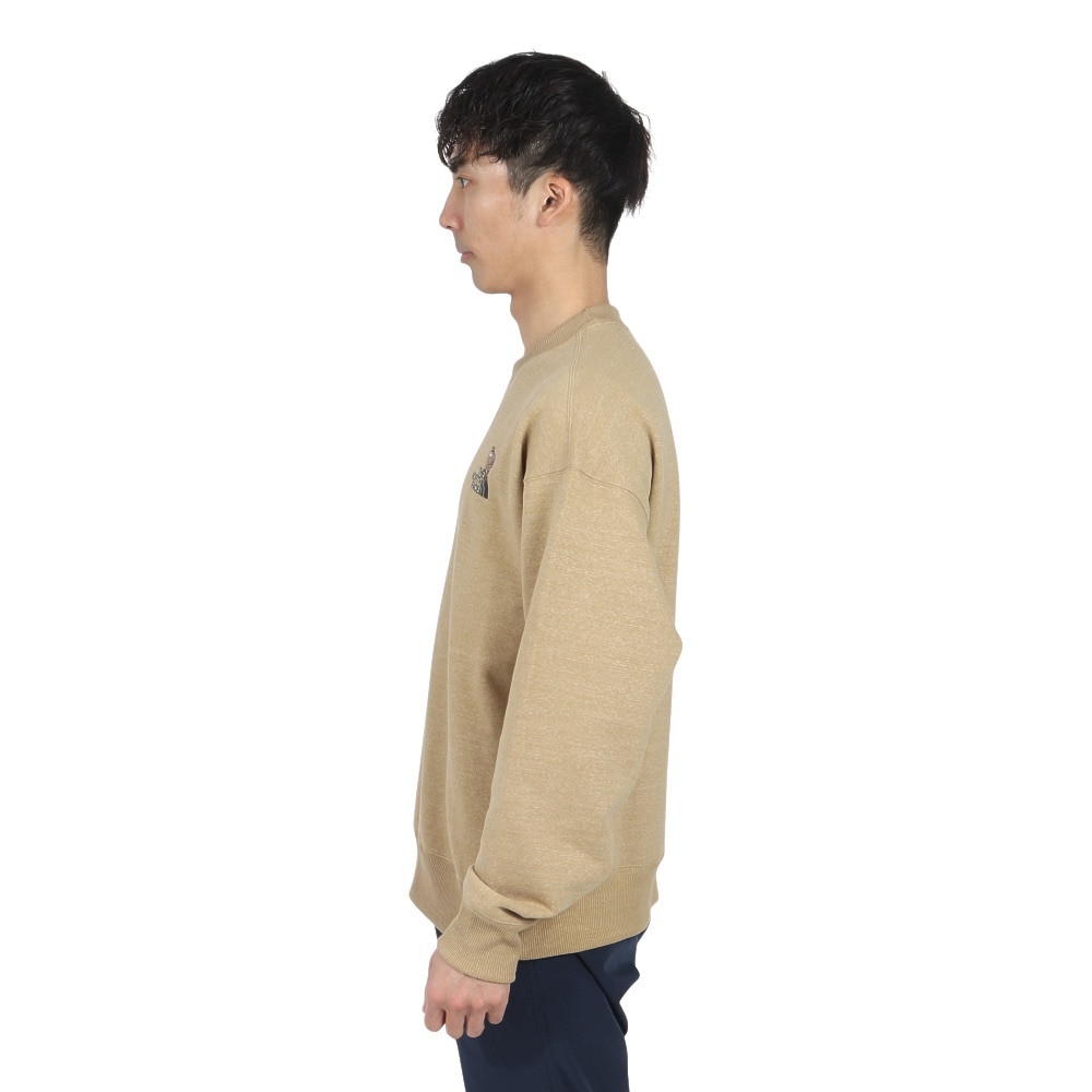 ザ・ノース・フェイス（THE NORTH FACE）（メンズ、レディース）トレーナー スウェット ズーピッカークルーネック NT12536 CK