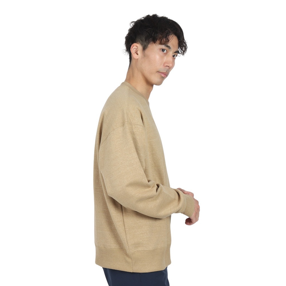 ザ・ノース・フェイス（THE NORTH FACE）（メンズ、レディース）トレーナー スウェット ズーピッカークルーネック NT12536 CK
