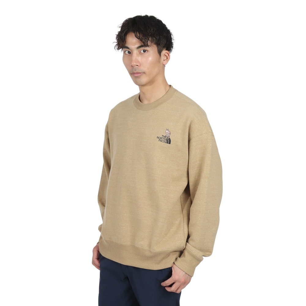 ザ・ノース・フェイス（THE NORTH FACE）（メンズ、レディース）トレーナー スウェット ズーピッカークルーネック NT12536 CK