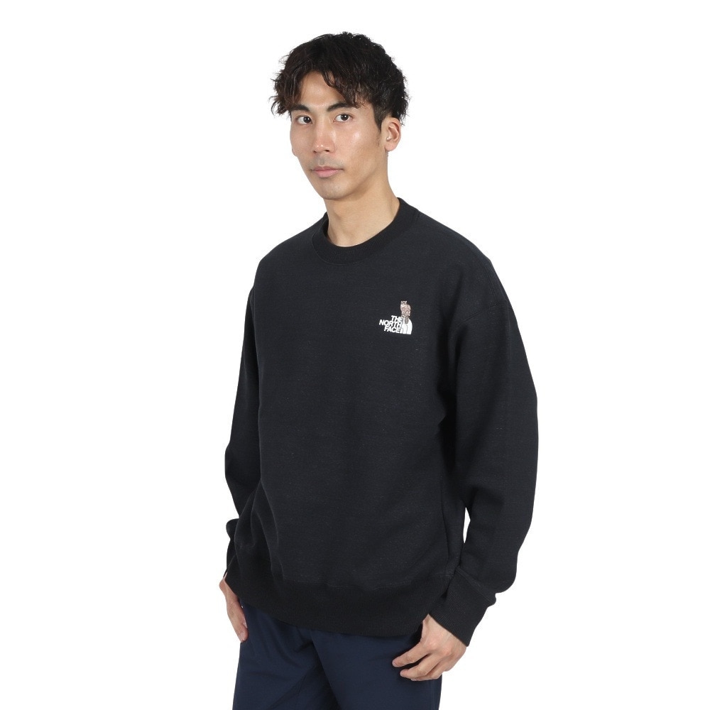 ザ・ノース・フェイス（THE NORTH FACE）（メンズ）トレーナー スウェット ズーピッカークルーネック NT12536 K