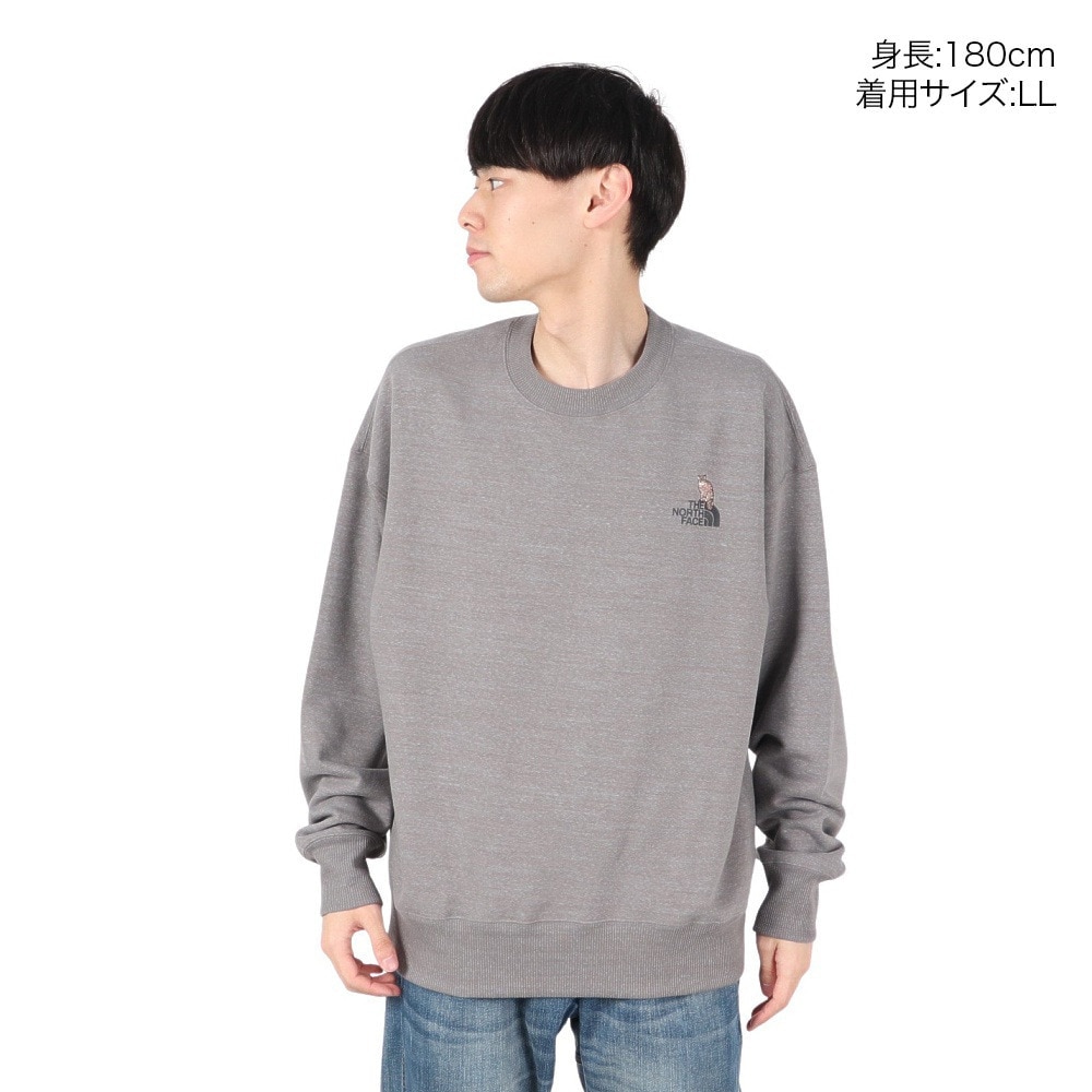 ザ・ノース・フェイス（THE NORTH FACE）（メンズ）トレーナー スウェット ズーピッカークルーネック NT12536 SP
