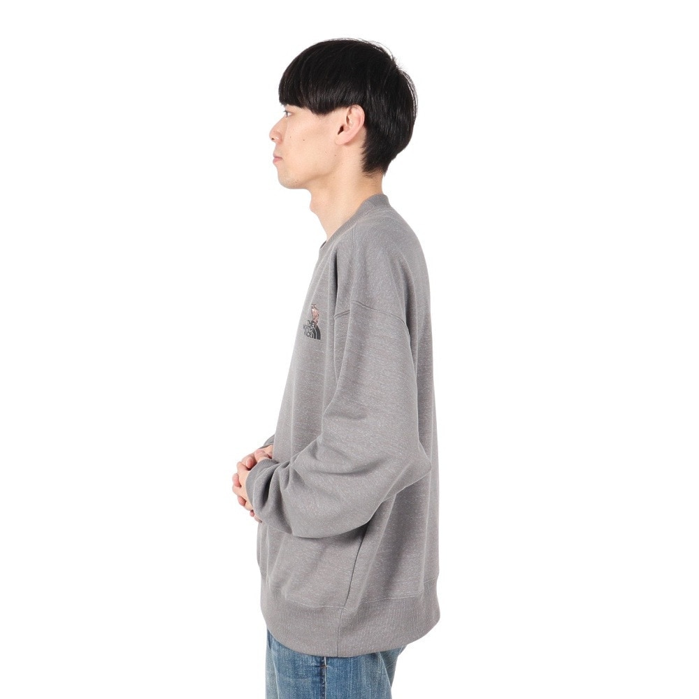 ザ・ノース・フェイス（THE NORTH FACE）（メンズ）トレーナー スウェット ズーピッカークルーネック NT12536 SP