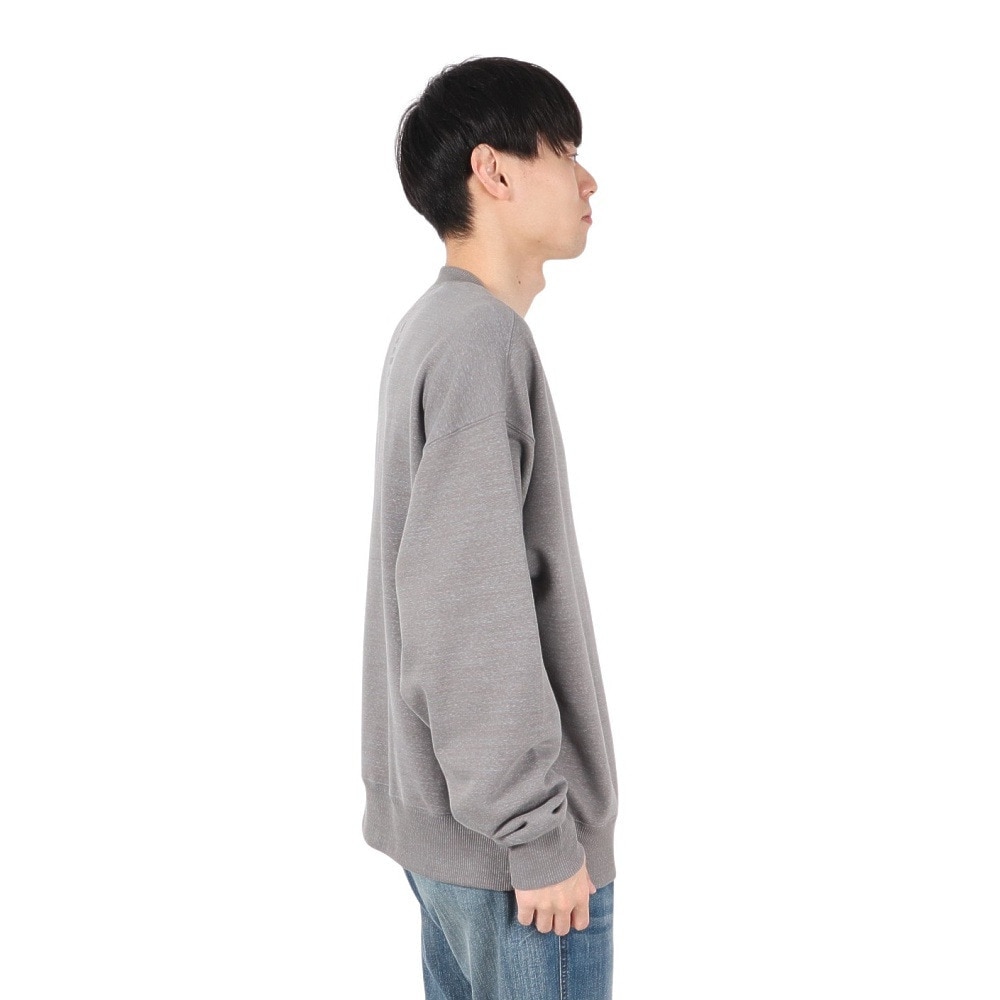ザ・ノース・フェイス（THE NORTH FACE）（メンズ）トレーナー スウェット ズーピッカークルーネック NT12536 SP