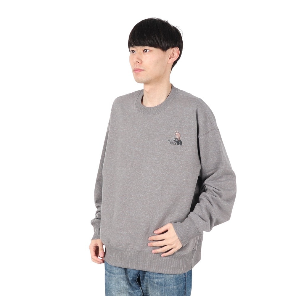 ザ・ノース・フェイス（THE NORTH FACE）（メンズ）トレーナー スウェット ズーピッカークルーネック NT12536 SP