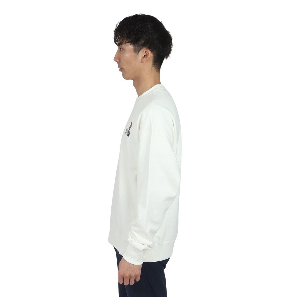 ザ・ノース・フェイス（THE NORTH FACE）（メンズ）トレーナー スウェット ズーピッカークルーネック NT12536 W