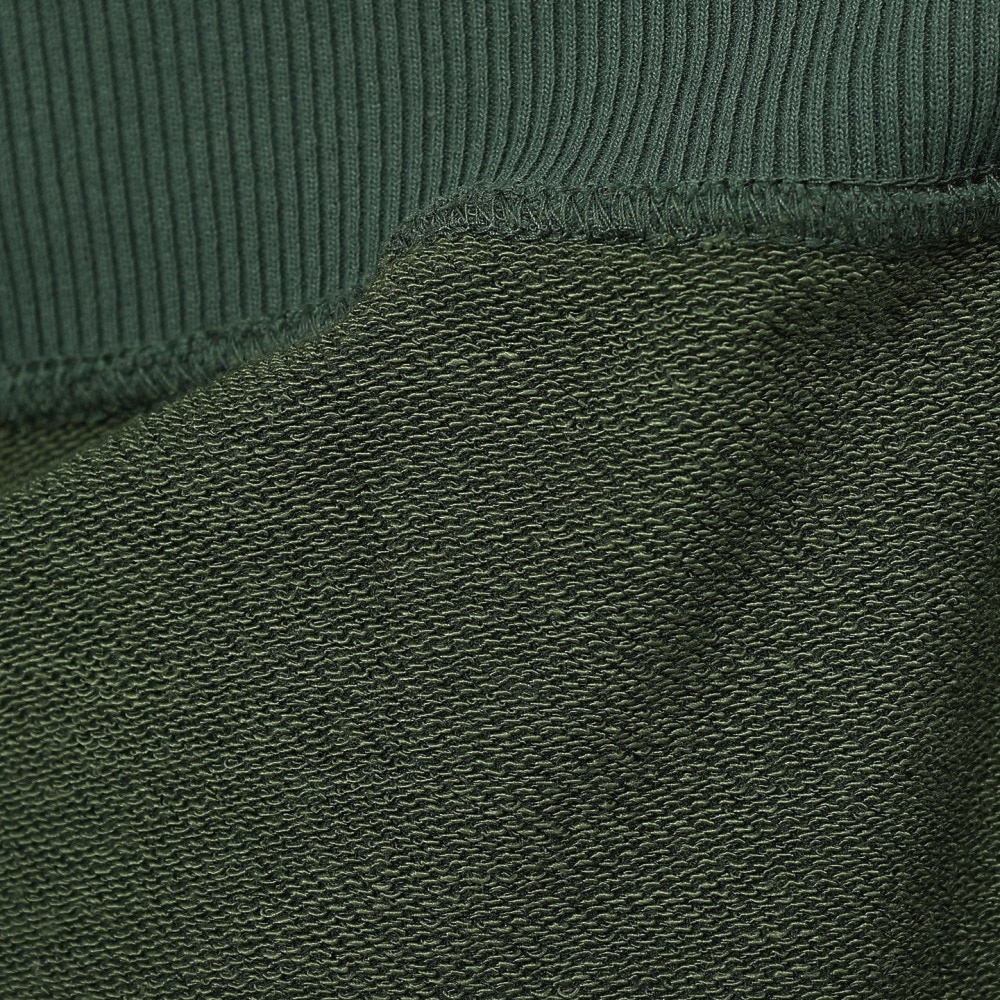 ザ・ノース・フェイス（THE NORTH FACE）（メンズ、レディース）トレーナー スウェット スモールロゴヘザースウェットフーディ NT62531 AL