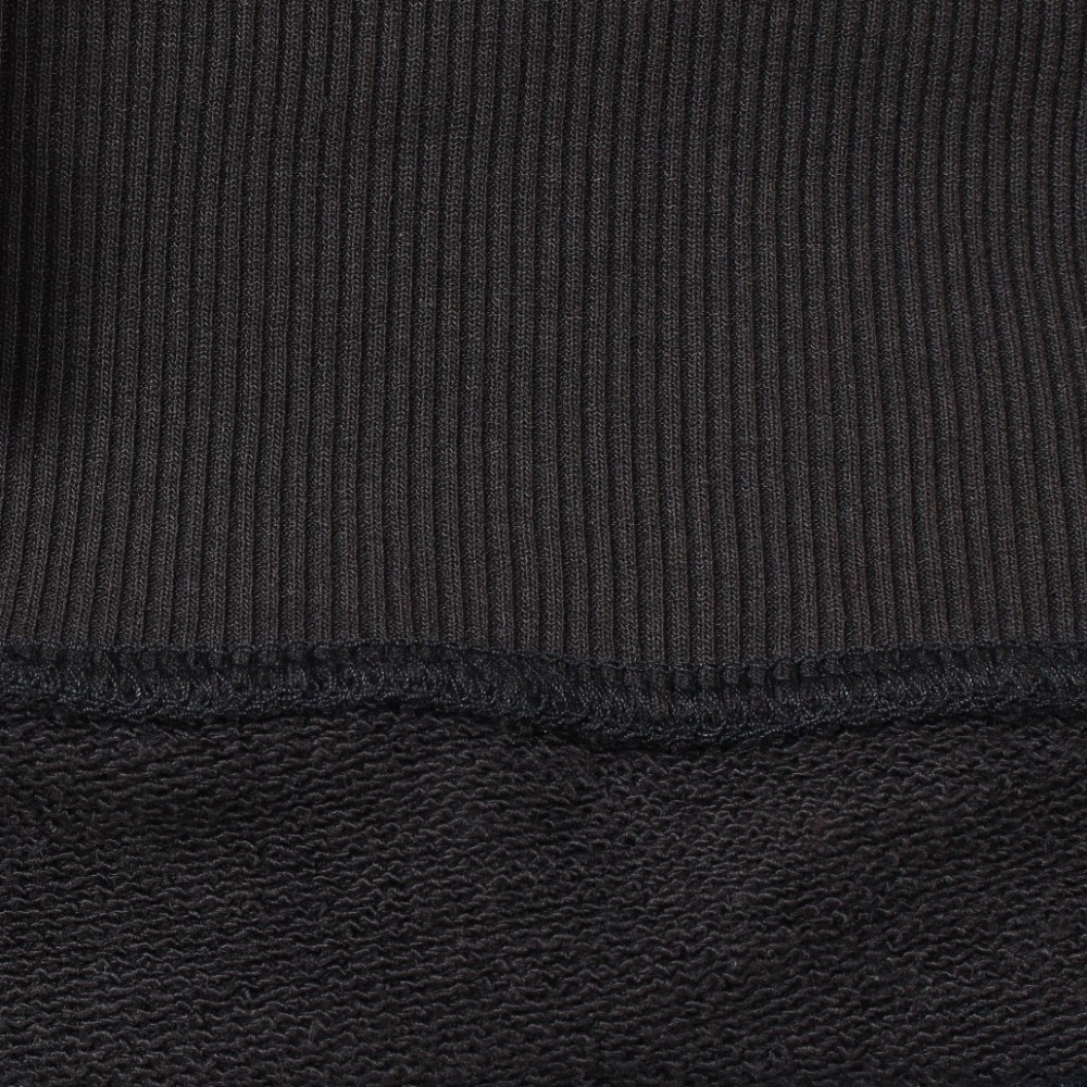 ザ・ノース・フェイス（THE NORTH FACE）（メンズ）トレーナー スウェット ヘザーロゴクルー NT12334 K ブラック 