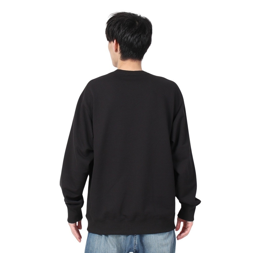 ザ・ノース・フェイス（THE NORTH FACE）（メンズ）トレーナー スウェット ヘザーロゴクルー NT12334 K ブラック 