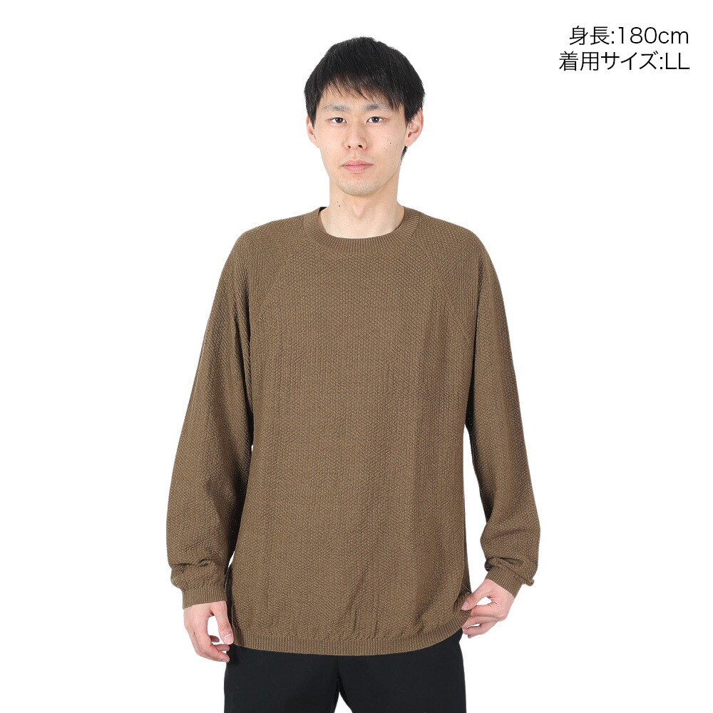 POLEWARDS（メンズ）ニット クルーネック セーター PW2HJJ02 BRZ ブラウン 重ね着 ウール