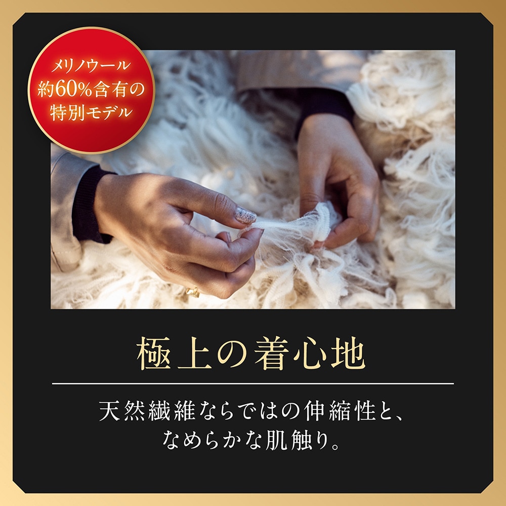 ミズノ（MIZUNO）（メンズ）長袖アンダーシャツ ブレスサーモアンダーウエア 厚手ウール for 極寒 クルーネック長袖シャツ C2JAA60109