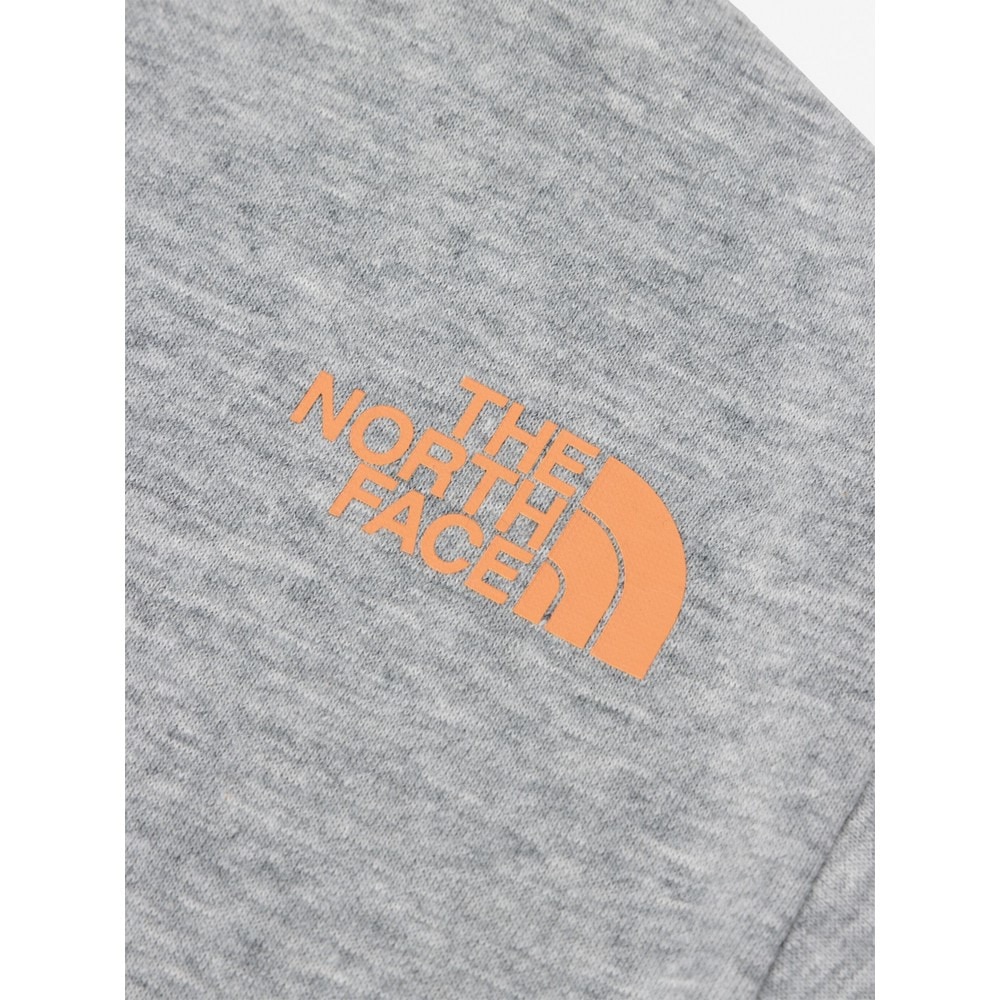 ザ・ノース・フェイス（THE NORTH FACE）（キッズ）トドラー ショートスリーブ シレトコトコ 半袖Tシャツ NTT32534ST Z