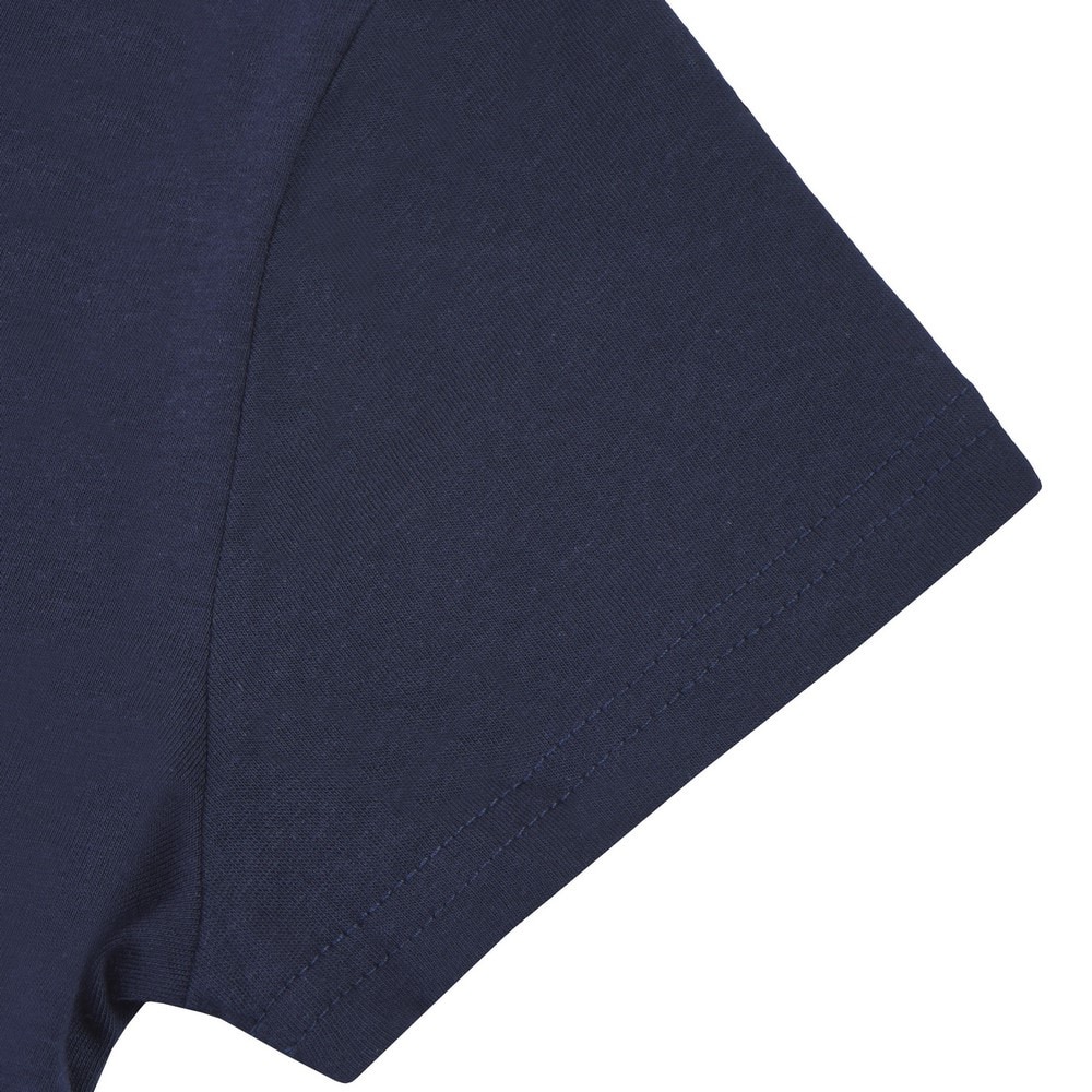 アイスピーク（ICEPEAK）（キッズ）ジュニア プリントTシャツ LEADVILLE BOYS 51671 932 939