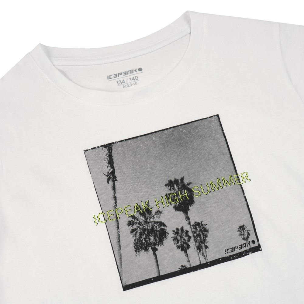 アイスピーク（ICEPEAK）（キッズ）ジュニア プリントTシャツ LEADVILLE BOYS 51671 932 980