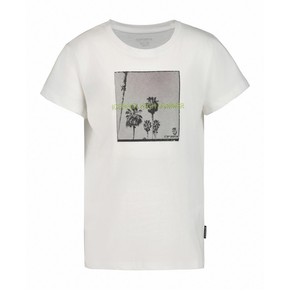 アイスピーク（ICEPEAK）（キッズ）ジュニア プリントTシャツ LEADVILLE BOYS 51671 932 980