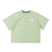 ミント（在庫なし）