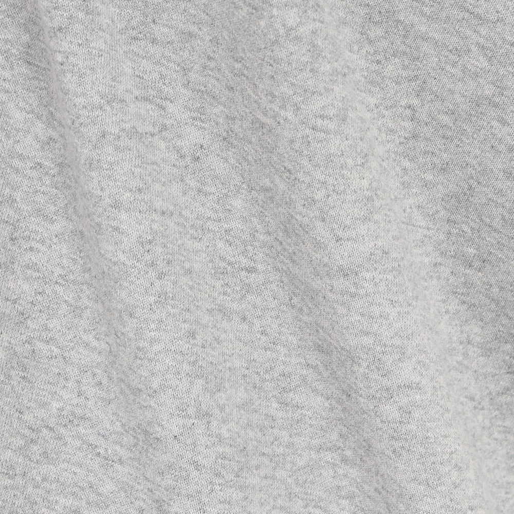 ザ・ノース・フェイス（THE NORTH FACE）（レディース）スウェット トレーナー 長袖 ロゴクルーネック NT62335X Z グレー