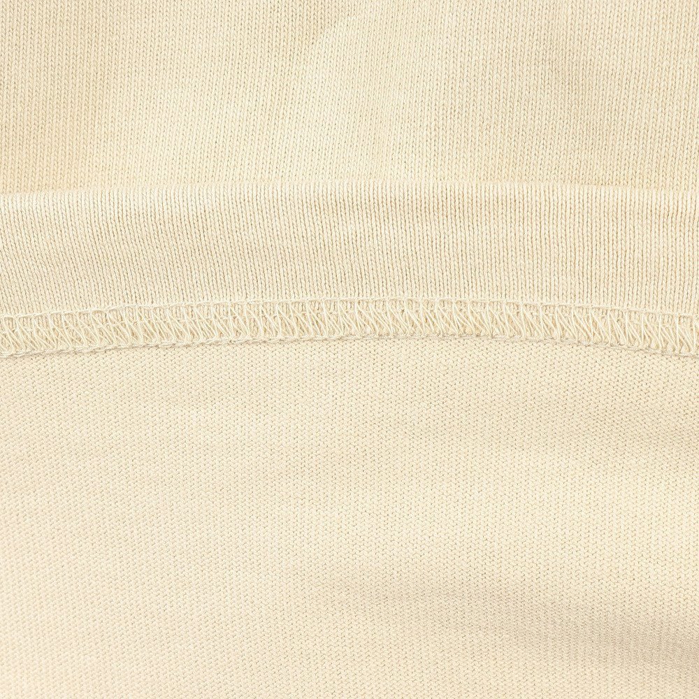 長袖Tシャツ ロンT ロングスリーブヌプシコットンティー NTW32443 GL 10