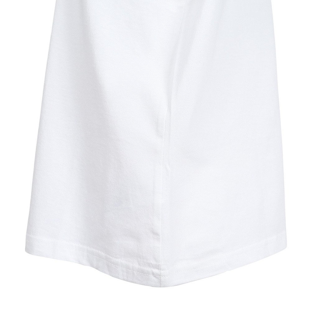 コロンビア（Columbia）（レディース）半袖Tシャツ ローリングベンドグラフィック AL9409 112