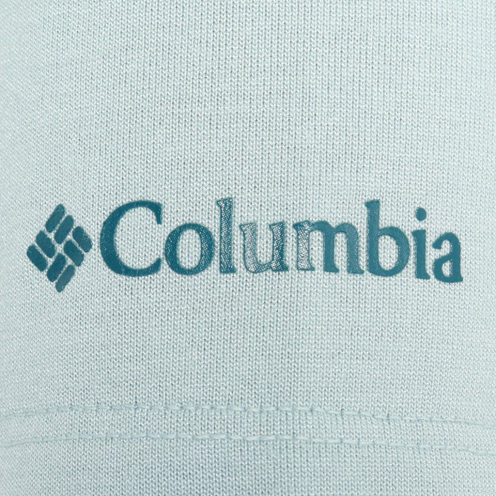 コロンビア（Columbia）（レディース）半袖Tシャツ ウィメンズ シダートレイル グラフィックTシャツ AP3843 461