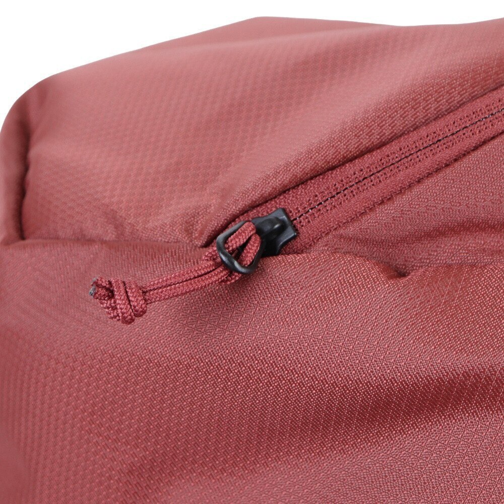 ドイター（deuter）（レディース）アタックザック リュック フューチュラ Pro 38 SL D3401221-5574