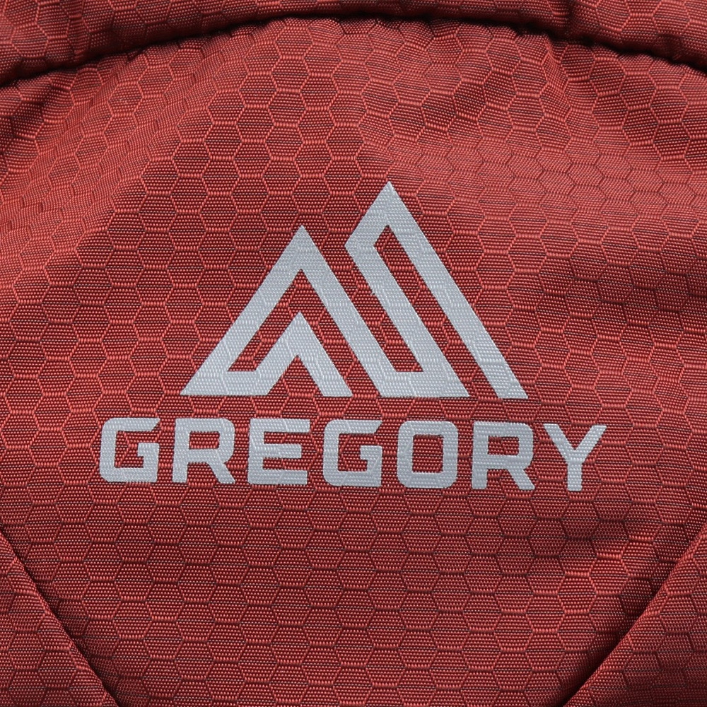 グレゴリー（GREGORY）（メンズ）バックパック リュック 登山 ハイキング シトロ30 1268801129