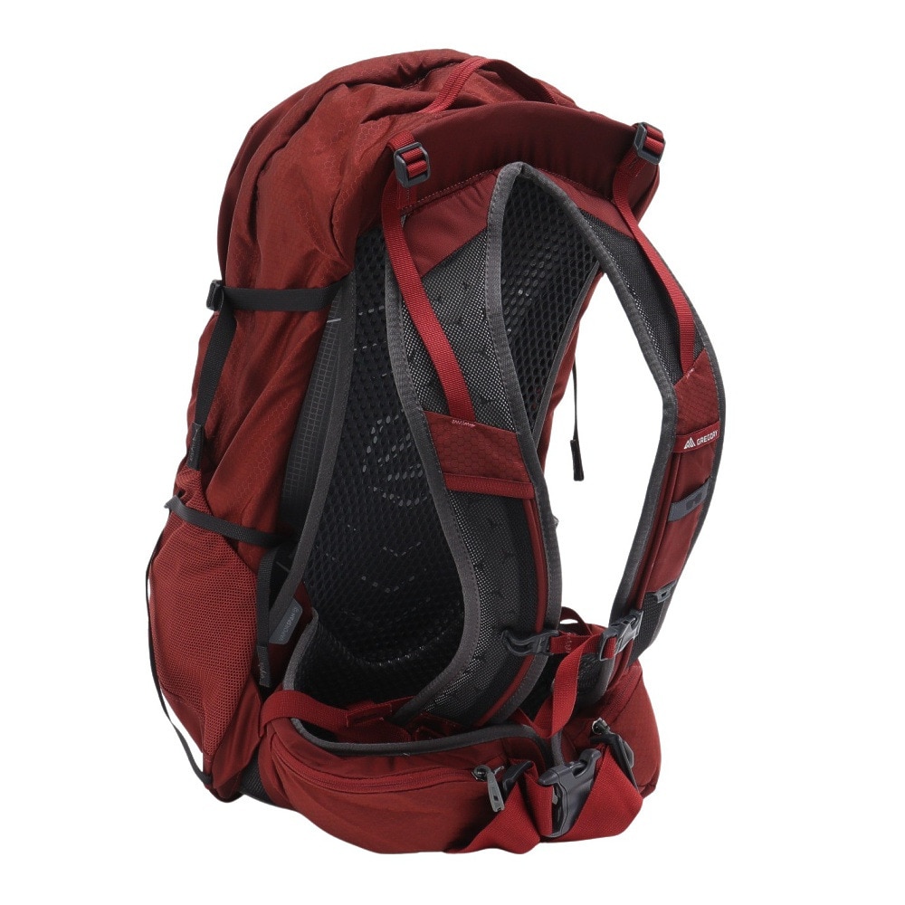 グレゴリー（GREGORY）（メンズ）バックパック リュック 登山 ハイキング シトロ30 1268801129