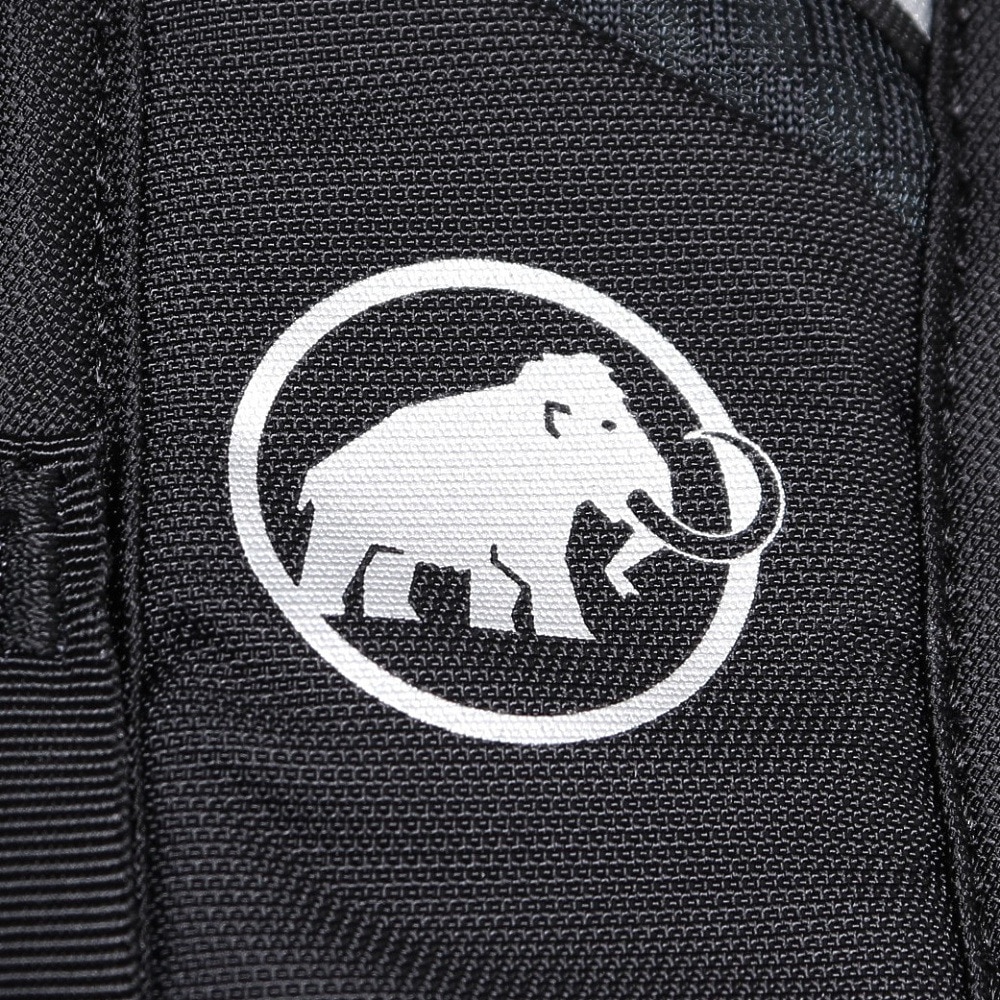 マムート（MAMMUT）（メンズ、レディース）バックパック リュック 登山 ハイキング リチウム 20 2530-03172-3777