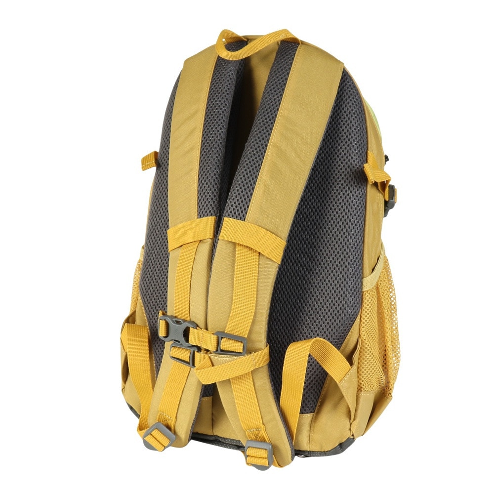 コロンビア（Columbia）（メンズ、レディース）リュック 登山 ハイキング キャッスルロック 15L バックパックII PU8664 719