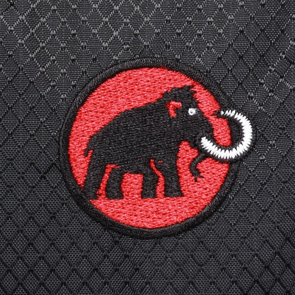 マムート（MAMMUT）（メンズ、レディース）バックパック リュック 登山 ハイキング Ducan 22 Classic 105210-0001