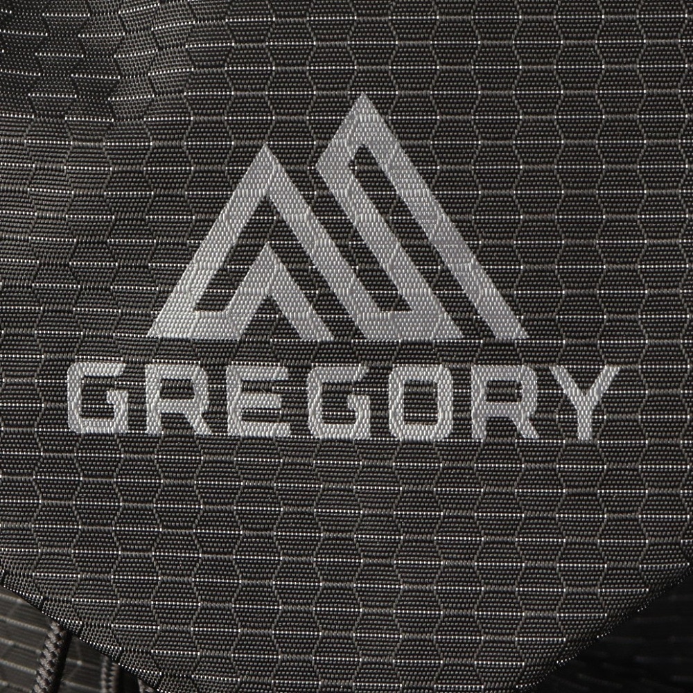グレゴリー（GREGORY）（メンズ、レディース）バックパック リュック 登山 ハイキング ナノ16 1114970413 ブラック 16L