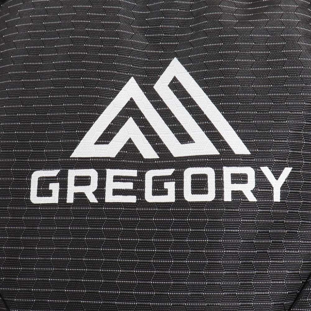 グレゴリー（GREGORY）（メンズ、レディース）吸湿発散 通気性 抜群 30L リュック シトロ30 1268807416 オゾンブラック