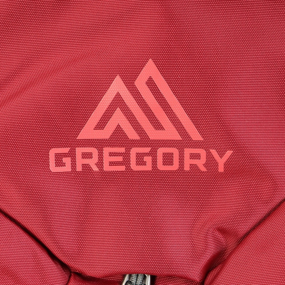 グレゴリー（GREGORY）（メンズ、レディース）バックパック リュック 登山 ハイキング マヤ15 1452789975 レッド 15L